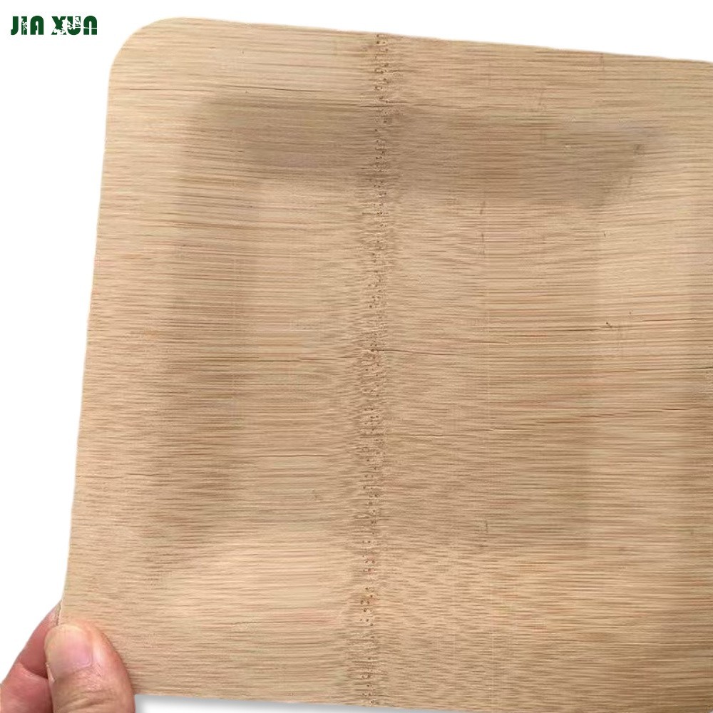 bamboo compostable plates details